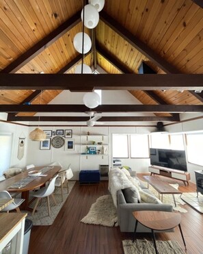 Smart TV, fireplace, books