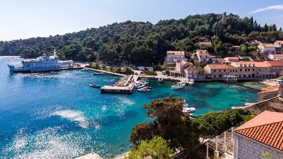 Apartment Tonka's Terrace