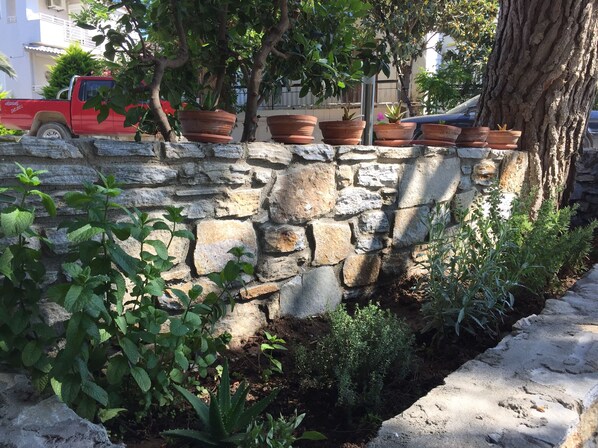 Exterior detail - Beautiful Bedroom for 4 people in Limenaria, only five minutes away from center (Limenaria)