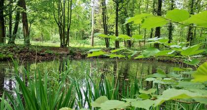 Haus Waldidyll - Ferienwohnung Terrasse