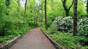 Unclassified image, 5 of 27, button