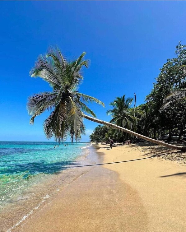 Plage à proximité