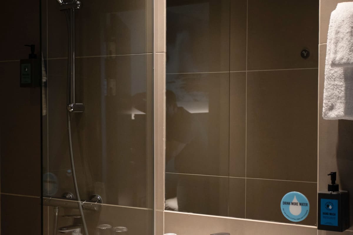 double room (compact) | bathroom | shower, free toiletries, hair dryer, towels