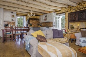 Télévision, cheminée, espaces bureaux