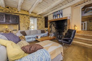 Télévision, cheminée, espaces bureaux