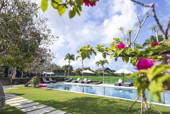 A swimming pool with lounge chairs and umbrellas, surrounded by palm trees and a well-maintained lawn.