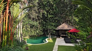 A private pool surrounded by lush greenery, a thatched-roof gazebo, and a seating area with a red umbrella.