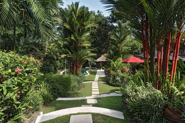 A garden pathway with palm trees, a thatched-roof structure, and a red umbrella.