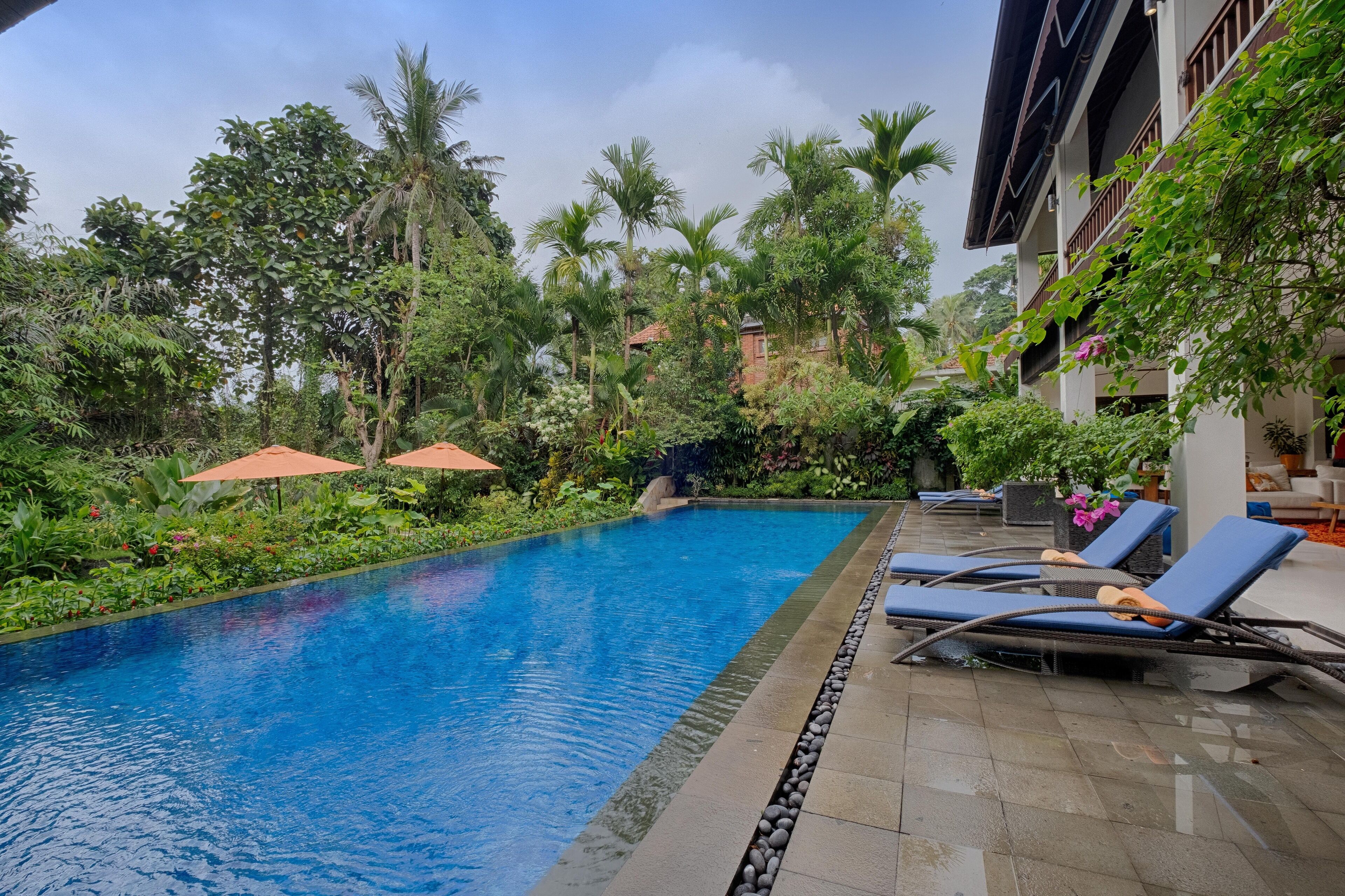 A swimming pool with lounge chairs, surrounded by lush greenery and palm trees.