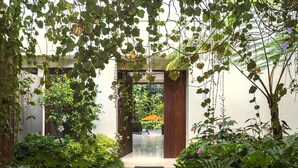 Un sendero en un jardín que conduce a la entrada de un edificio, rodeado de abundante vegetación y plantas.
