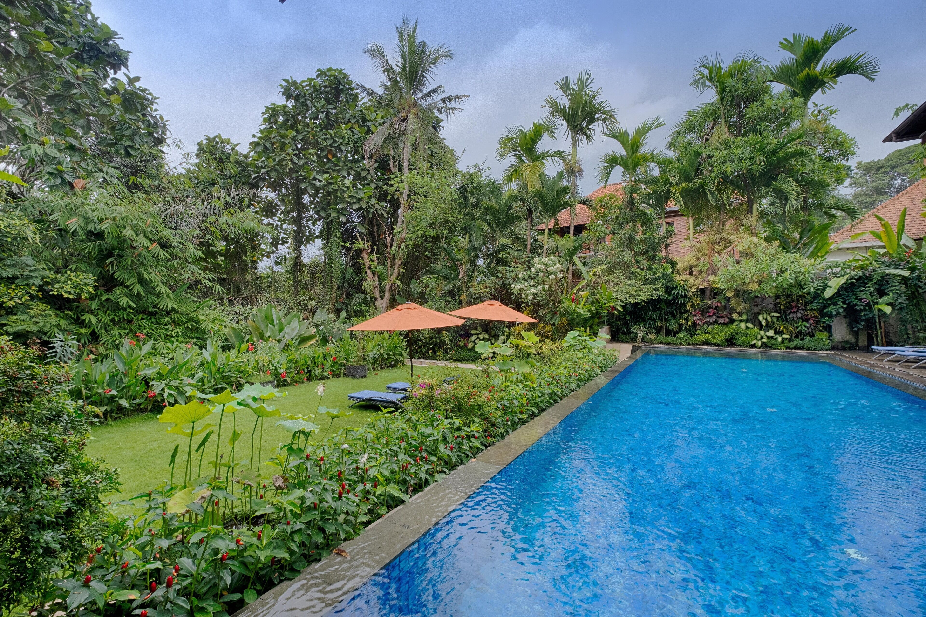 A swimming pool surrounded by lush greenery and palm trees.