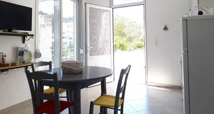 Spacious apartment with mountain views, large garden and terrace. Ideal location