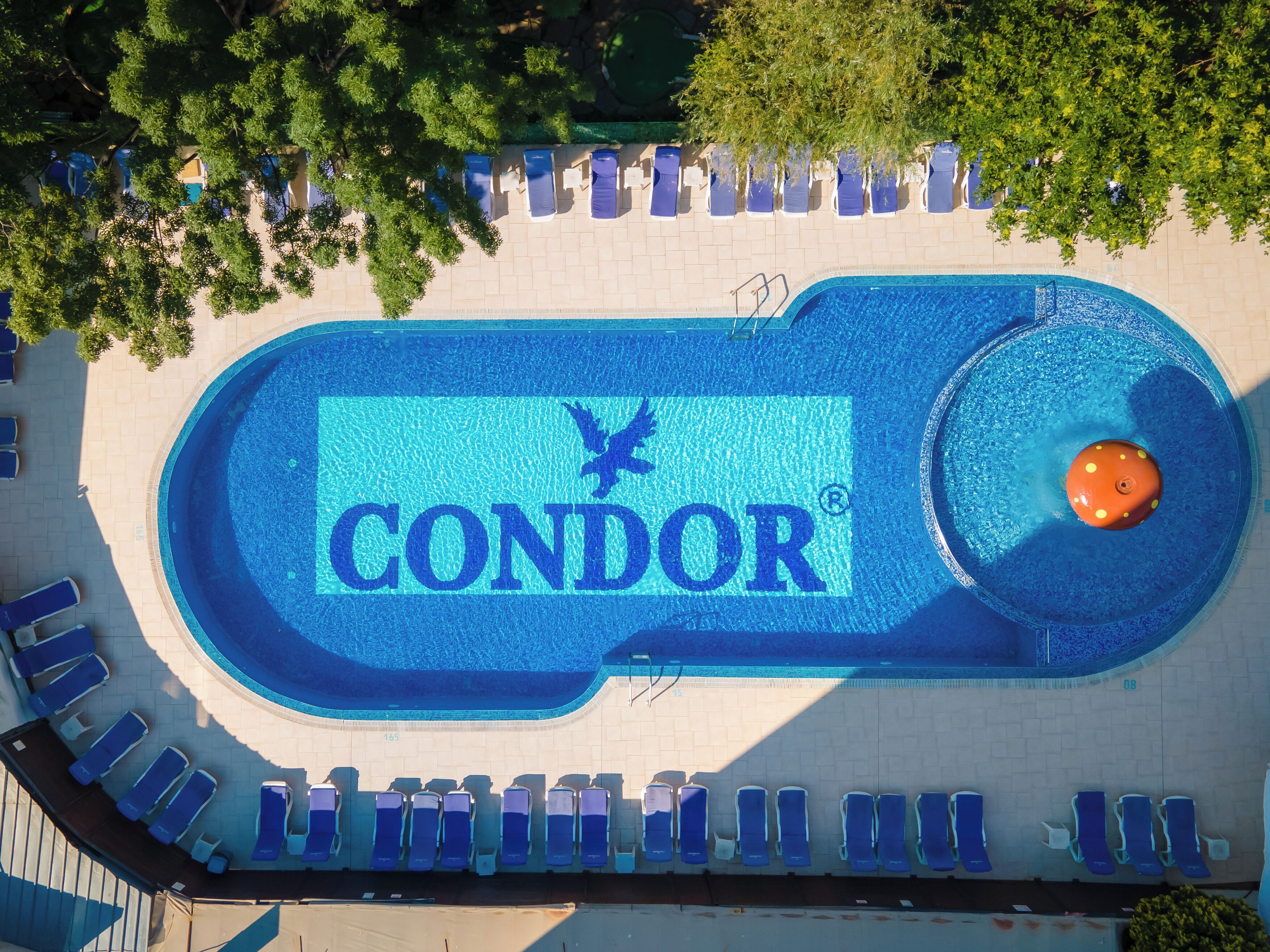 Seasonal outdoor pool, pool loungers, lifeguards on site