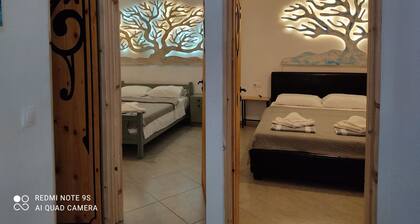 Relaxed spacious apartment with garden view and free WiFi