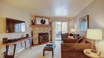 TV, fireplace, books, stereo