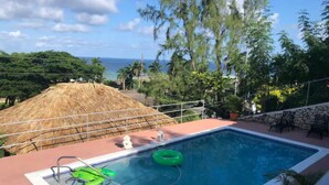 A swimming pool with a thatched roof structure nearby, surrounded by lush greenery and a view of the ocean.