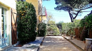 A courtyard with a stone pathway, a tree with orange fruits, and a building with a yellow facade. - T3 1st floor of the villa of the sea (Hyères)