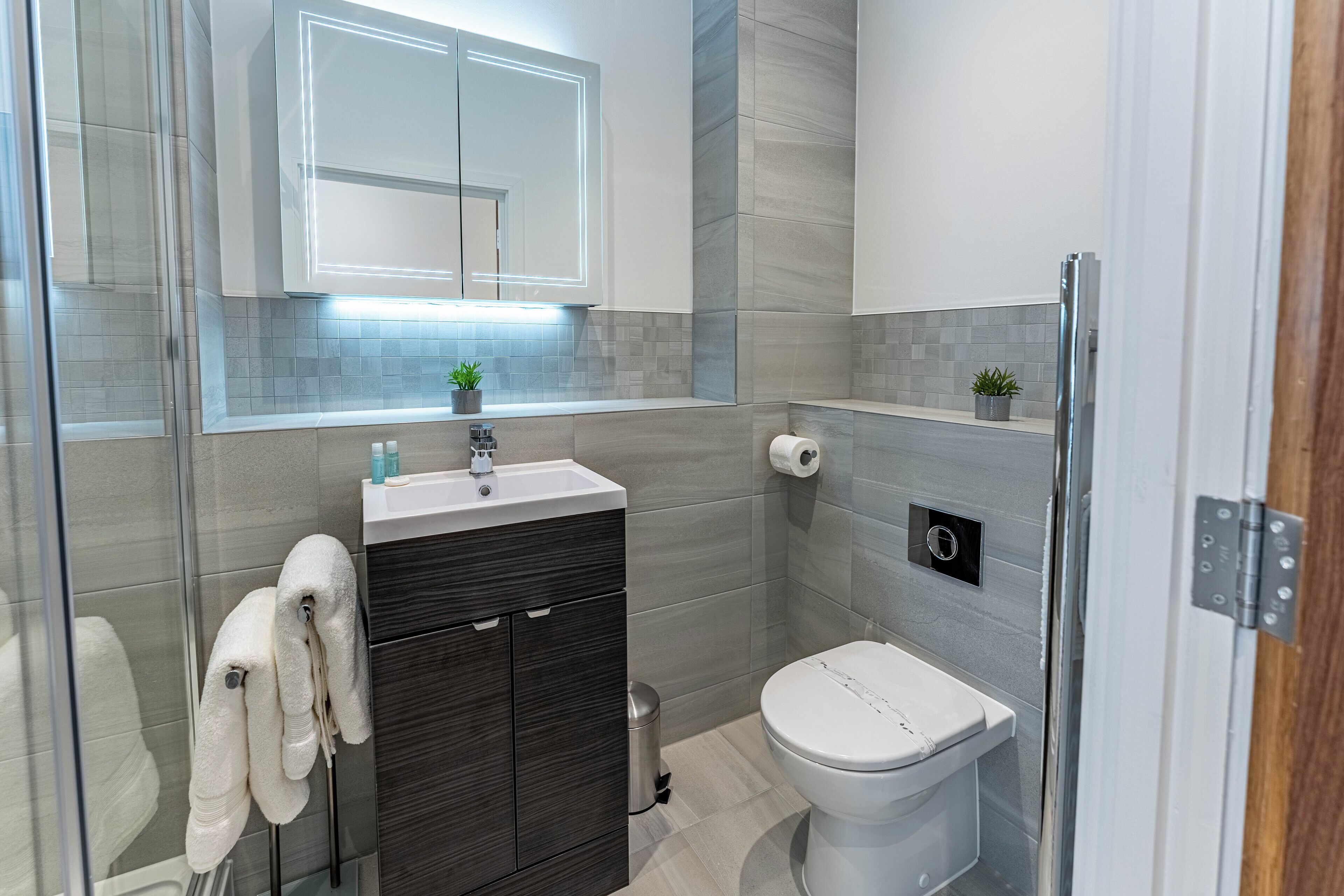Une salle de bain moderne avec une douche à l’italienne en verre, un meuble-lavabo en bois foncé, des toilettes blanches et une petite plante en pot posée sur le meuble-lavabo.