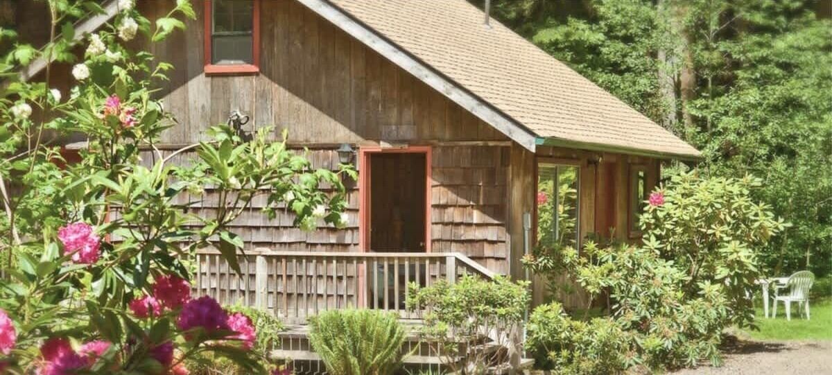 A wooden cabin with a porch, surrounded by lush greenery and flowering plants.
