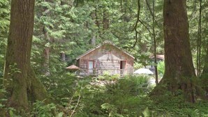 Un chalet rustique entouré d’une forêt dense.