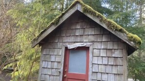A small wooden cabin with a red door, surrounded by trees. - Outback Rustic Cabin near Olympic National Park (Forks)