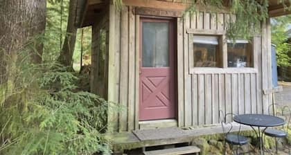 Outback Too Rustic Cabin by Olympic National Park