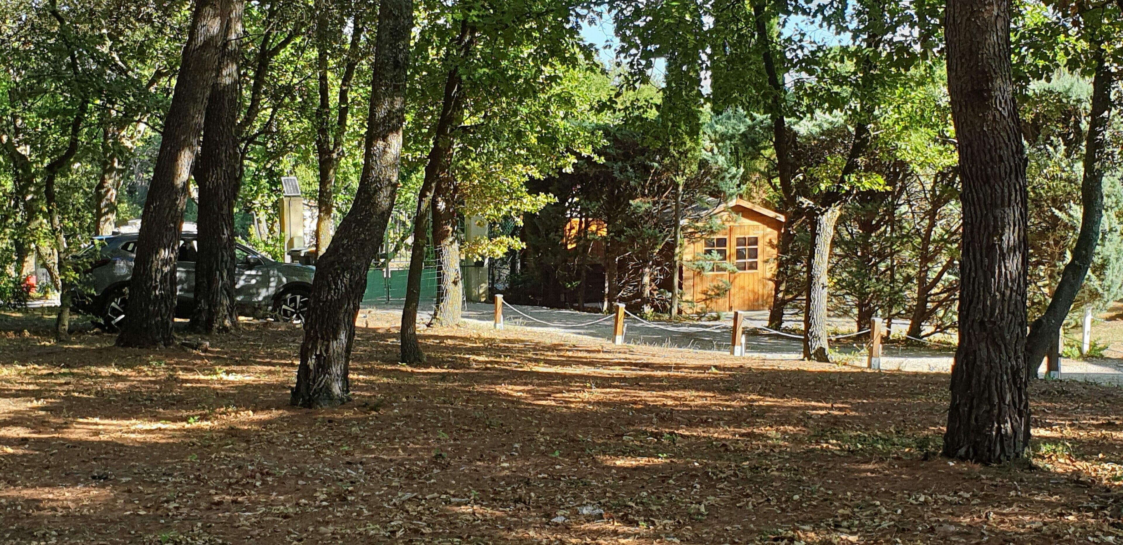 Una cabaña rústica rodeada de altos árboles en una zona boscosa.