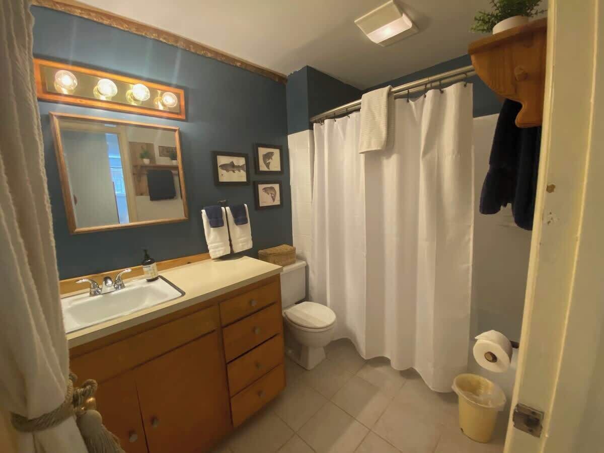 Shower, hair dryer, shampoo