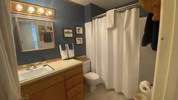 Shower, hair dryer, shampoo