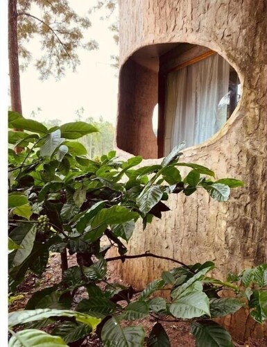 Rustic Charm Wayanad - The Stump (Treetop Suite)