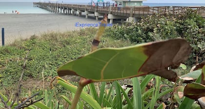 Cosy 2-bedroom *near intercoastal and the beaches*