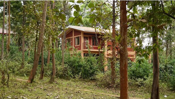 A cabin in a forest, surrounded by trees and greenery.