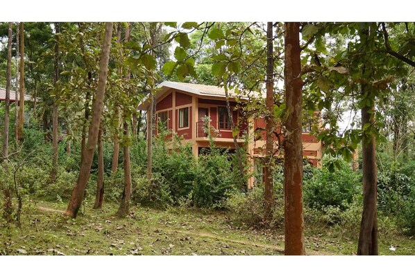 Exterior - Rustic Charm Wayanad - Eden Roost (Appapara)