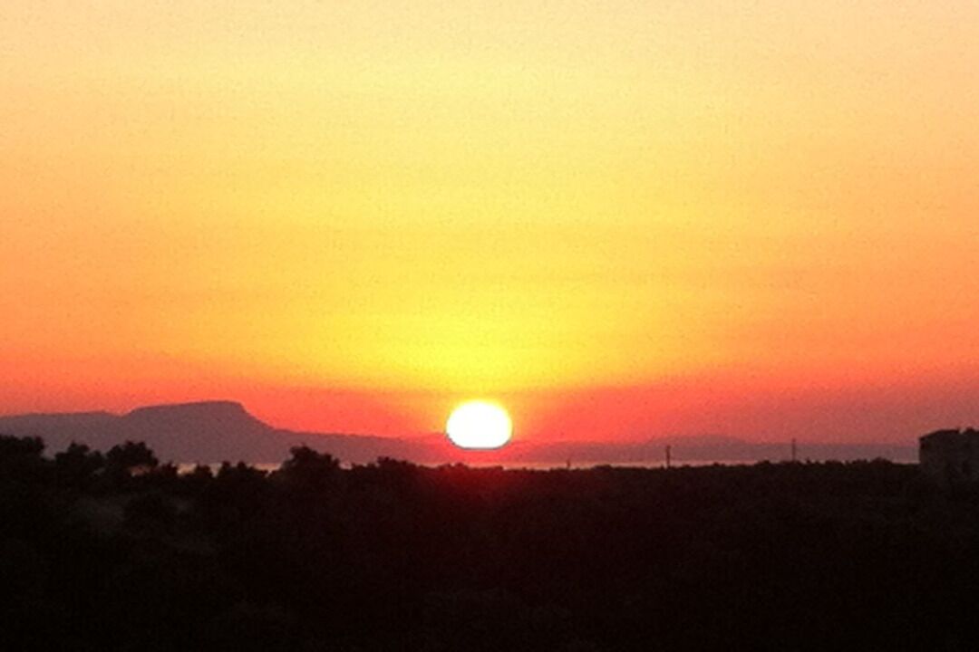 منوع