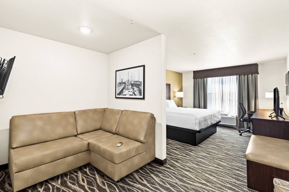 A hotel room with a sofa, a bed, a desk, and a chair.