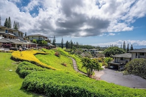 A residential area with houses, a winding pathway, and lush greenery.