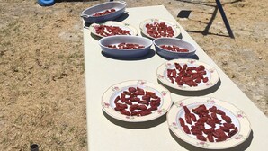 Uma mesa com recipientes de frutas secas vermelhas, um baloiço e um edifício ao fundo.