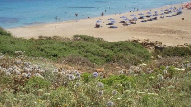 A beach with numerous umbrellas and people enjoying the water. - New - Villa Cornelia with pool. O. 2-room apartment. Sea view over olive groves (Rethymno - Asteri)