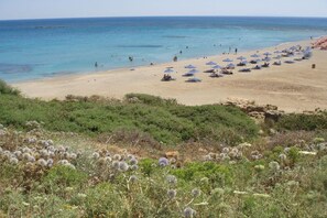 Playa en los alrededores 