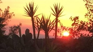 A sunset with silhouettes of palm trees and a pool reflecting the sky. - New - Villa Cornelia with pool. O. 2-room apartment. Sea view over olive groves (Rethymno - Asteri)