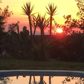 Ein Sonnenuntergang mit Palmen im Schatten und einem Pool, der den Himmel spiegelt.