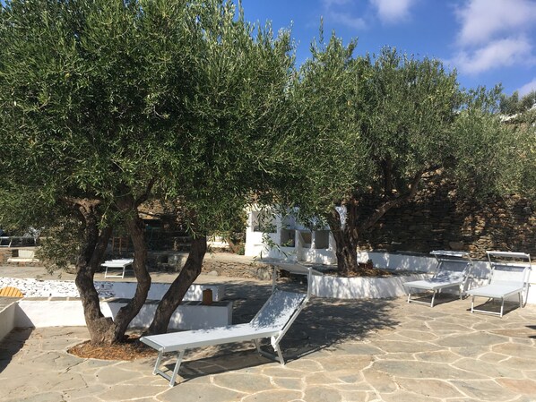 Terrace/patio - Large village house in olive grove for 13 people (Sifnos)
