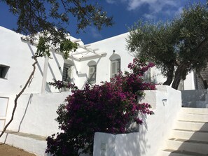 Exterior - Large village house in olive grove for 13 people (Sifnos)