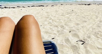 Entire Condo on the Beach
