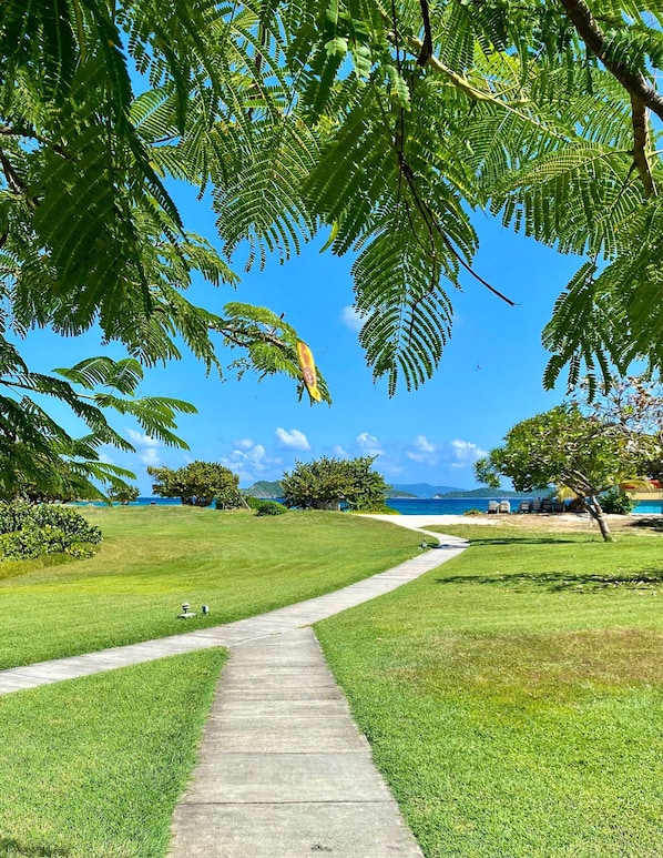 Property grounds - Entire Condo on the Beach (St Thomas)