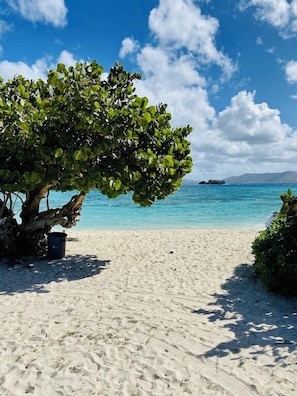 On the beach, sun loungers, beach towels - Entire Condo on the Beach (St Thomas)