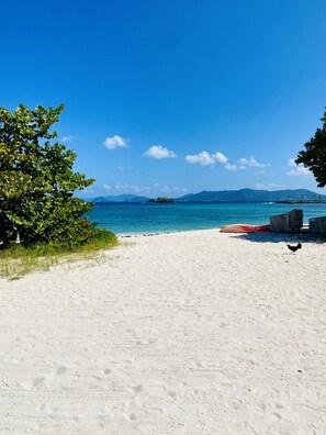Plage, chaises longues, serviettes de plage