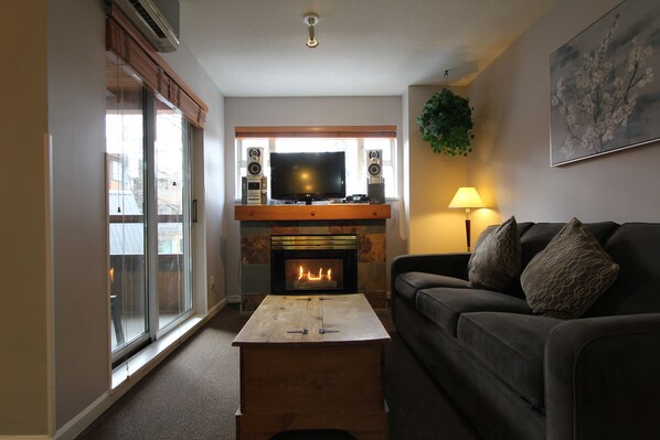 Televisión, chimenea y reproductor de DVD 