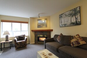 Télévision, cheminée, lecteur de DVD