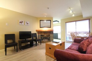 Televisión, chimenea y reproductor de DVD 